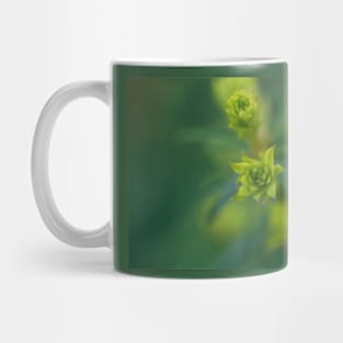 The Budding of the Spring Mug